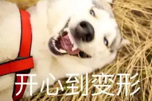 开挂的升温,明天局部地区逼近30度之后,接下来......