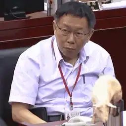 谁有这类图片,越多越好