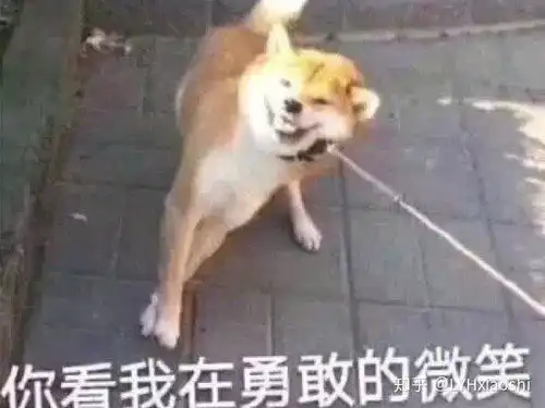 有哪些聊天用的贱贱的表情包