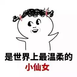开心到飞起表情包图片小