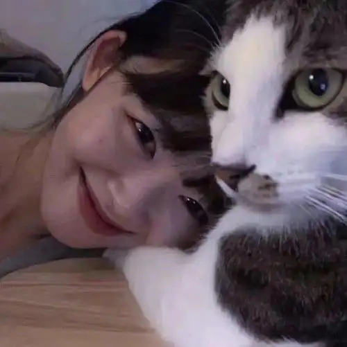 猫咪头像男生代表什么不
