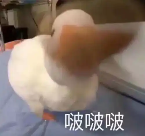 笑哭这究竟是什么奇异物种看见什么吃什么