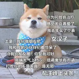 母猪图片表情包单身汪