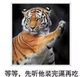 众泰还出过前排三人座神车,难道为阿三设计的