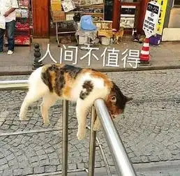 恋爱中的哪个瞬间,最让男生想分手