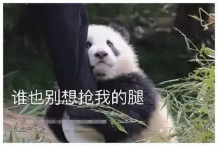 为了大熊猫,外国人真是拼了