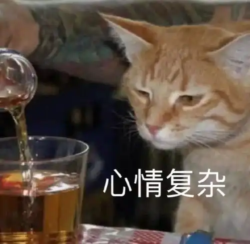 厉害图片表情包头像