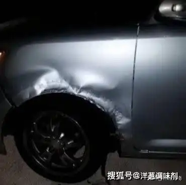男子的爱车无端被咬,当场逮住只嫌疑猫,警察来后却说另有真凶