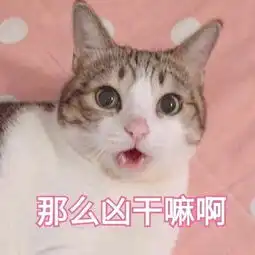 男友刚学游泳,发现一只狗也在游,瞬间抄起棍子就追上去了还要你教我