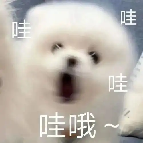 可爱沙雕表情包不知这位老男人有何指教