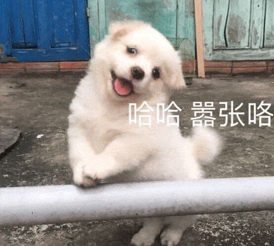 沙雕表情包肾虚吗,这么早睡