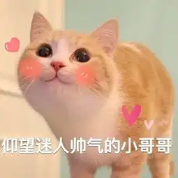 别人家的喵系列表情包