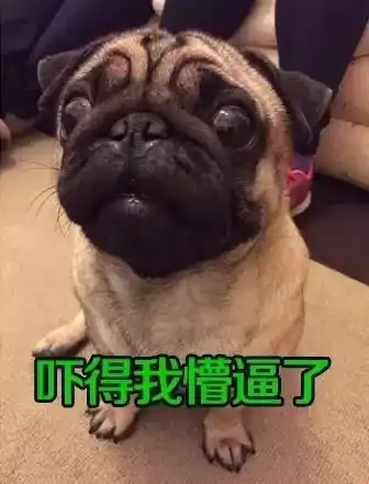 回忆那些年神一般的老师