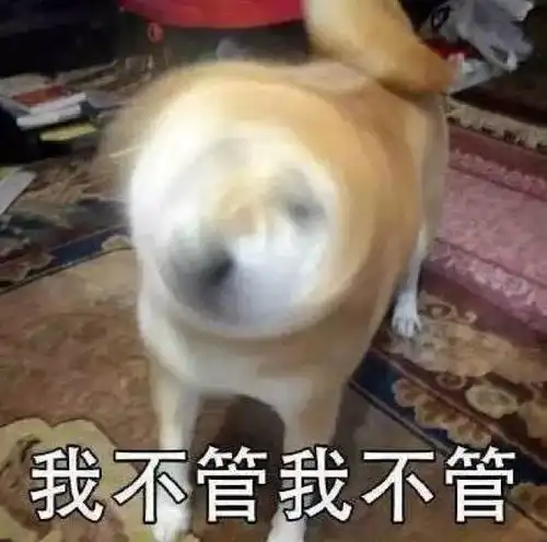 我和小鸡胃的爱情故事6