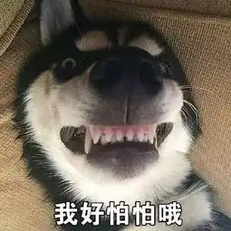 扫黑除恶堵车扎轮胎殴打他人这个三口组凉了