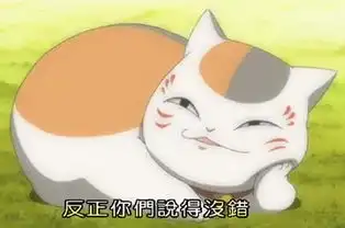 喵咪老师表情包