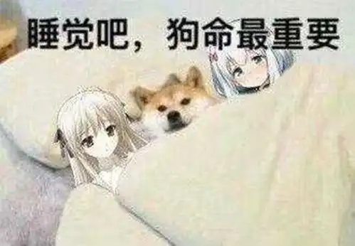 动漫表情包精选我要和纱雾睡觉了,晚安