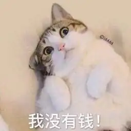 飞车代言人,无比忙碌的一天