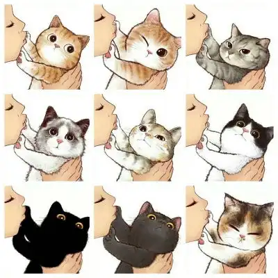 猫猫头表情包动漫头像