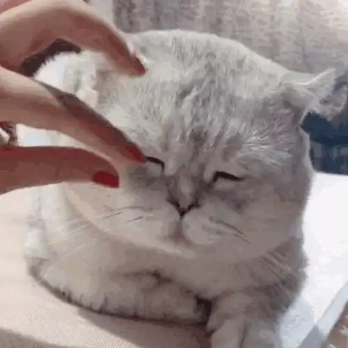 我的收藏