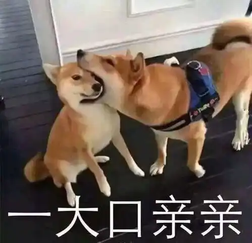 驾考表情包超萌