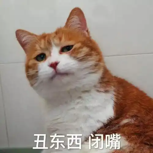 开心一刻笑话交了一个大长腿男朋友,昨天他带我去见家人