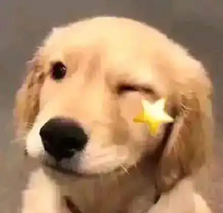 狗头像男生专用版沙雕狗