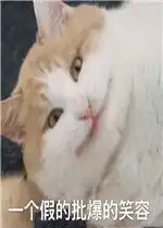 一个假的批爆的微笑表情包好玩吗一个假的批爆的微笑表情包怎么玩用户评论