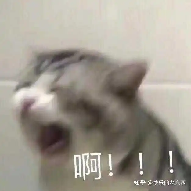 为什么有的男生宁愿养猫,也不找对象