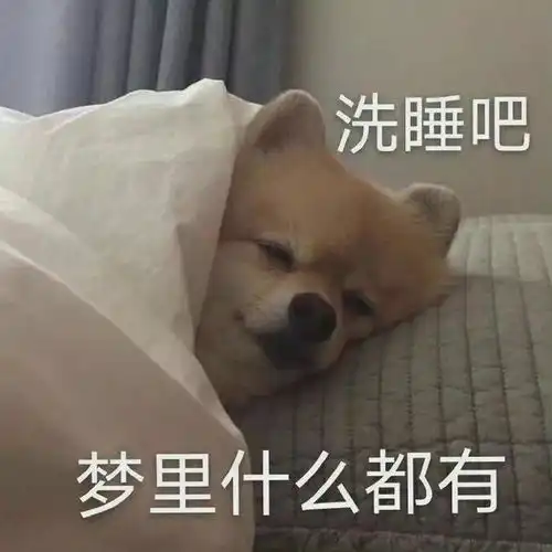 表情包小猫小狗的表情包
