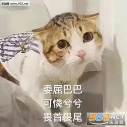 够快寂寞就追不上我再见了朋友表情包替我老姨家的母猪谢谢你表情包下载乐游网游戏下载