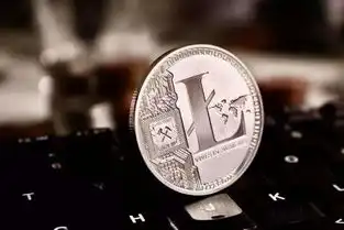 熊市中的黑马莱特币价格在2019年q1翻了一番