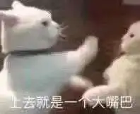 曝光闺蜜聊天记录居然背着我,偷偷和别的男生在背后这样说我...