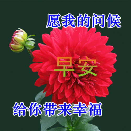 中老年表情包,朋友一生一起走,感恩有你