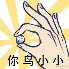 谐音梗表情包太可爱鸟