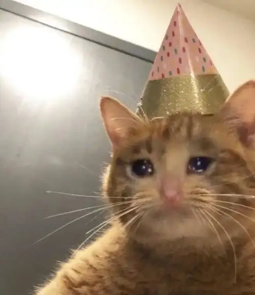 没有流泪猫猫头的表情包库不是完美的表情包库