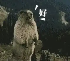 土拨鼠叫表情包视频表情