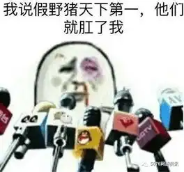假猪套天下第一so假猪套到底是个什么鬼