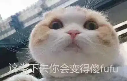 男生用猫猫表情包沙雕