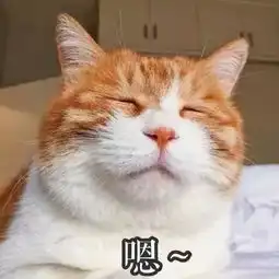 年轻人出来压马路没有这几款包包,我都不好意思