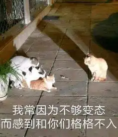 搞笑的猫咪表情包31张,拿去折腾男朋友吧