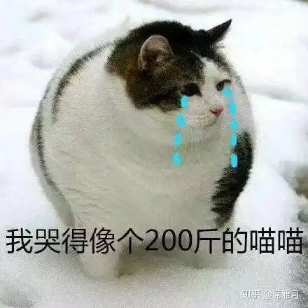 猫咪偷偷抹把泪表情包对