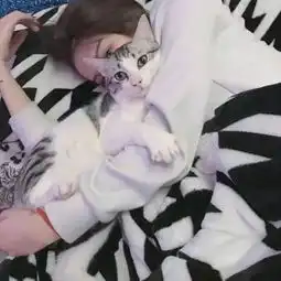 漂亮女生抱猫咪合照头像2018高清可爱趁着年轻可劲闹
