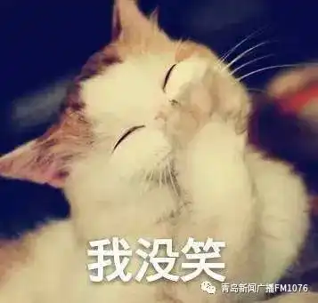 我的名字是我爸翻字典起的你叫什么王新华
