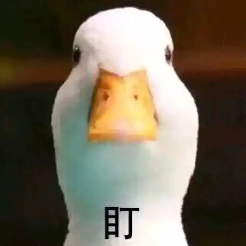 信阳也现老人辱骂殴打公交司机事件,拘留