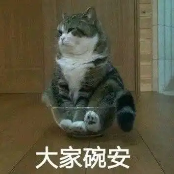 搞笑斗图表情包合集别逼我动手