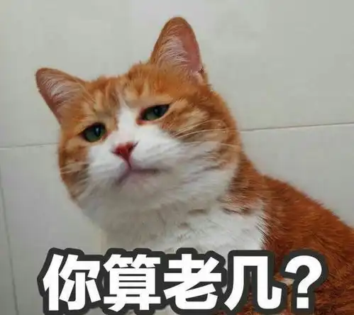 搞笑段子对自己的颜值没什么概念,是一种什么体验