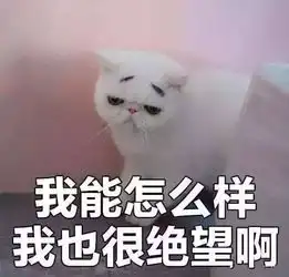 掌握10个烘焙小技巧,烘焙soeasy