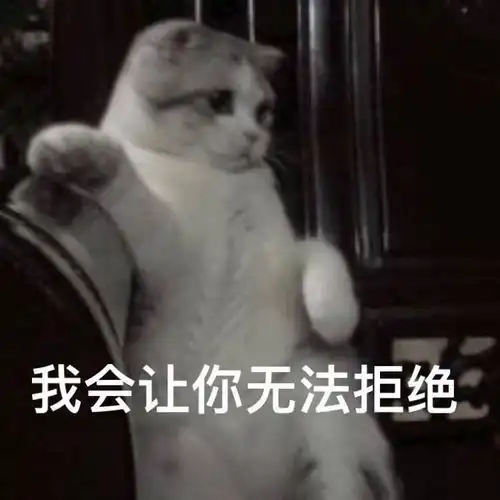有没有那种带点颜色又很可爱的表情包