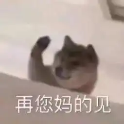 表情包丨小黄鸡2.0来了超可爱表情包
